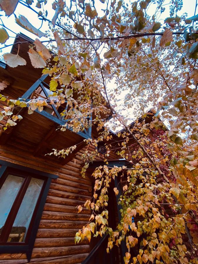 Boutigue Hotel Nebesa Chimgan 외부 사진
